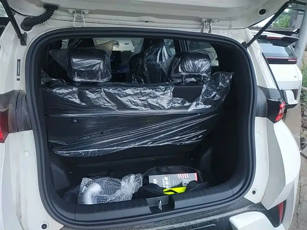 BYD Seagull 2025 Smart Drive Edition 305km Vitality Version фото 19