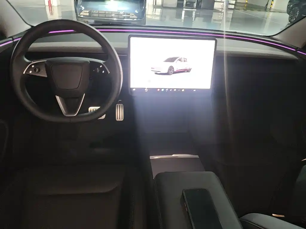 Tesla Model 3 2025 2025 Model Rear-Wheel Drive Edition