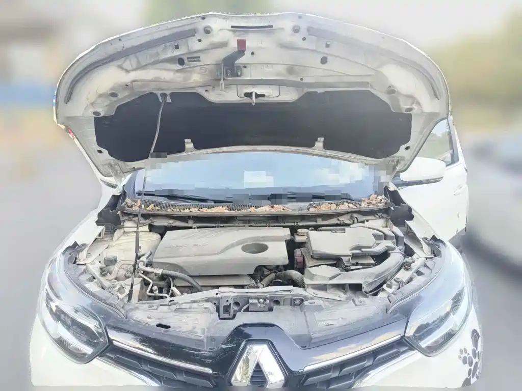 Renault Kadjar 2018 2017 2.0L 2WD Fashion Edition