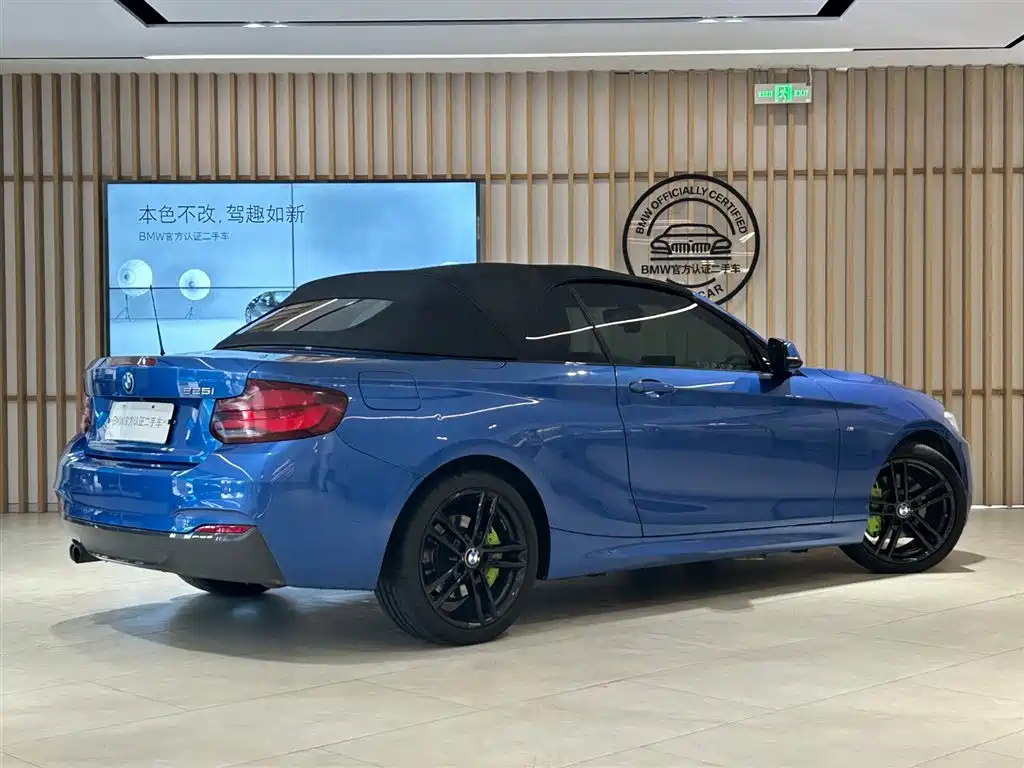 BMW 2 Series (Import) 2019 225i Convertible Coupe Exclusive M Sport Package фото 12