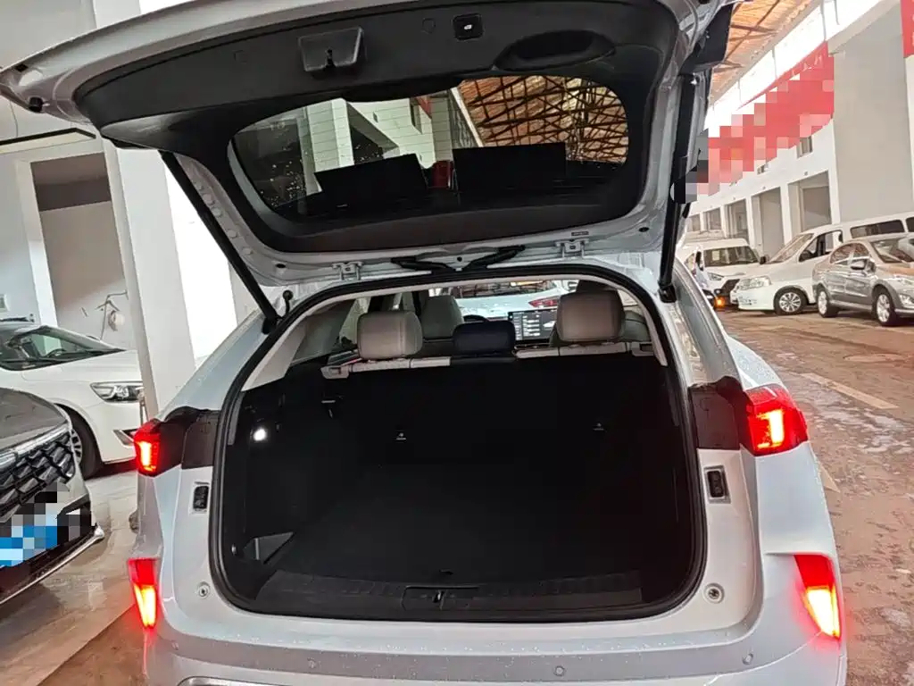 WEY Mocha 2023 2021 2.0T 4WD Premium Edition