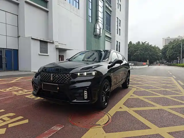 wei-pai wei-brand-vv7