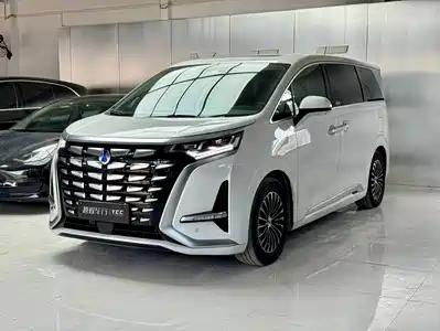 Denza D9