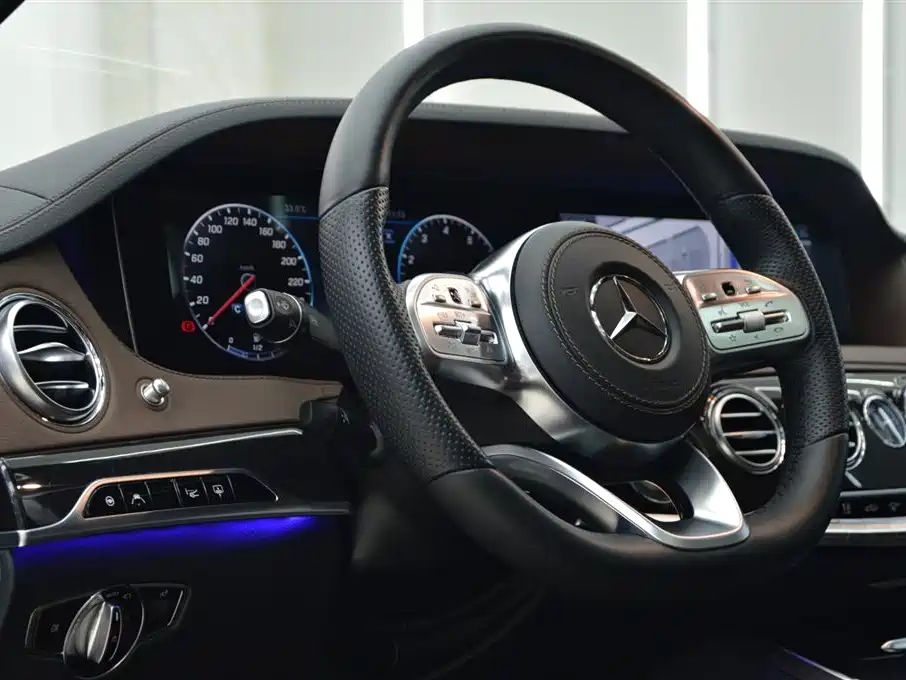 Mercedes-Benz S-Class 2020 S 450 L 4MATIC Collector's Version фото 10
