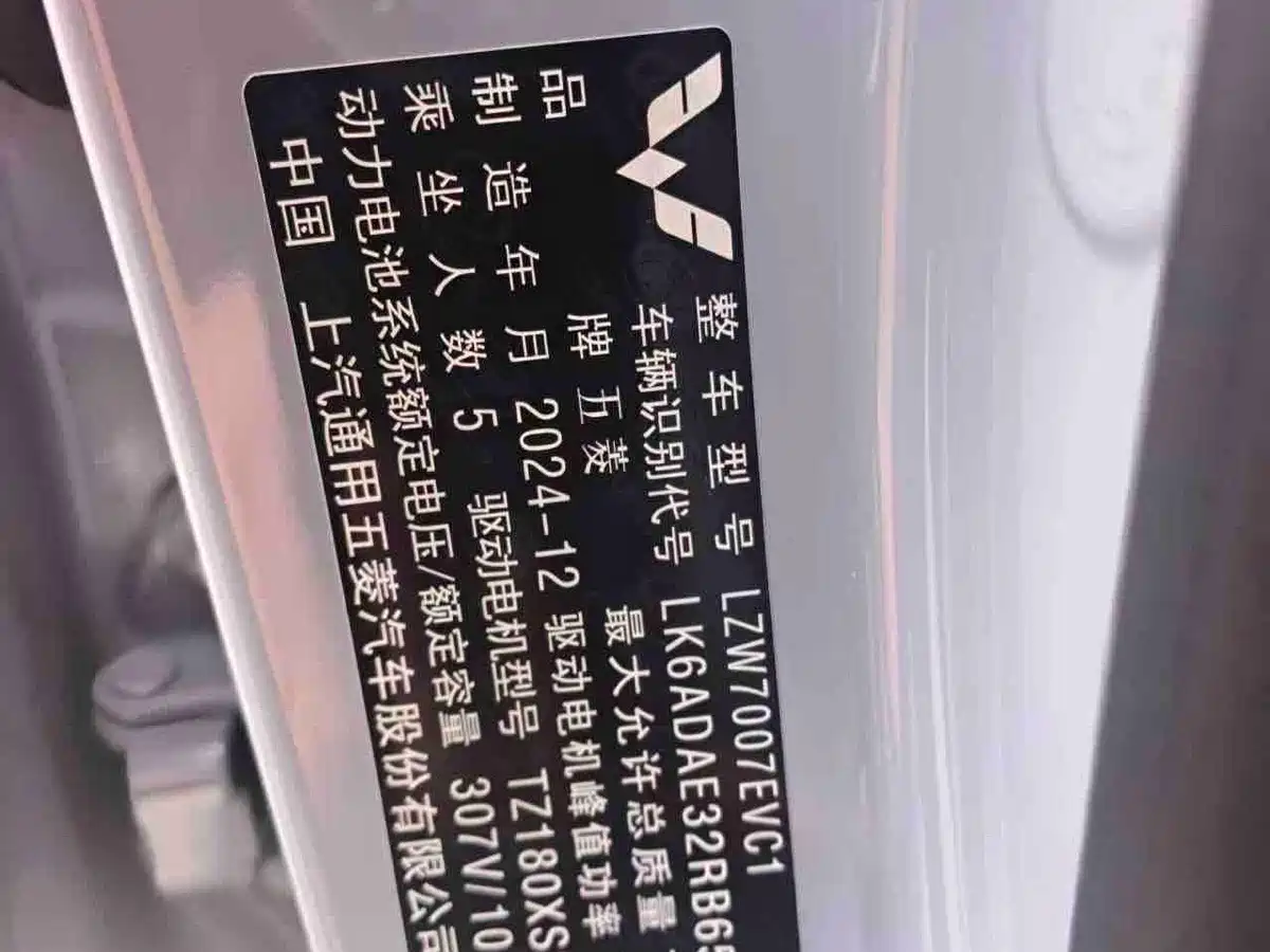Wuling Motors Wuling Binguo PLUS 2025 2024 Model 330km 5-Seater
