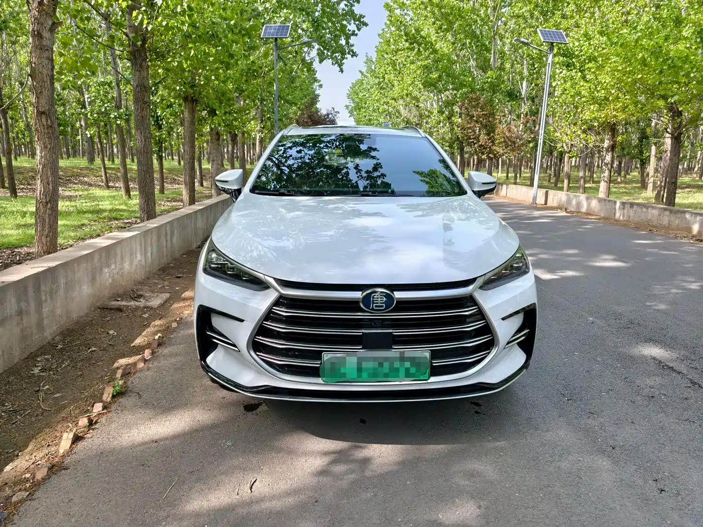BYD Tang New Energy 2021 DM-i 112KM Premium фото 2