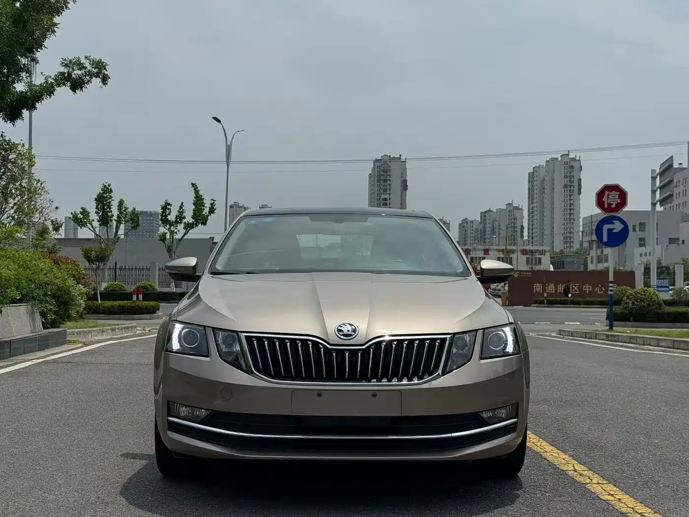 Škoda Octavia 2018 TSI230 DSG Luxury Edition фото 2