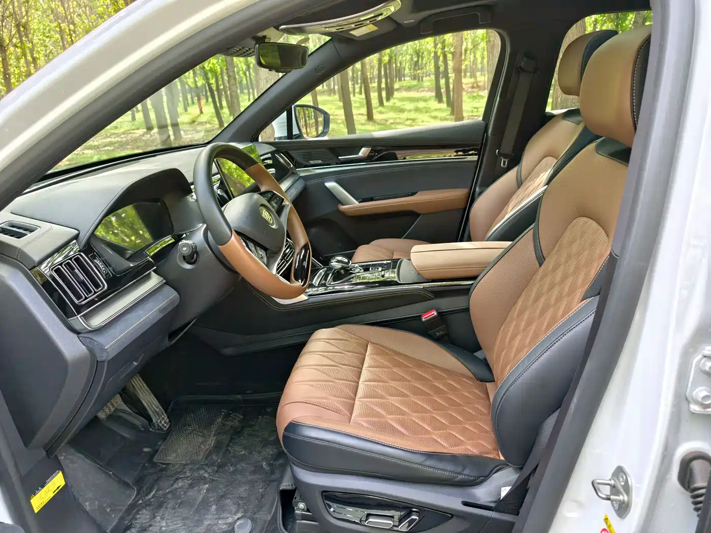 BYD Tang New Energy 2021 DM-i 112KM Premium фото 5