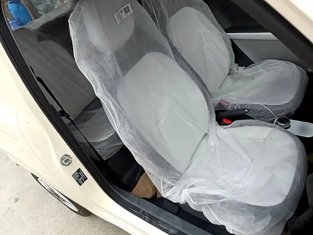 Geely Galaxy Panda 2026 2025 Panda mini 210km Vitality Bear