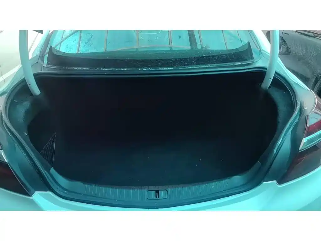 Фото 4 - Buick Regal