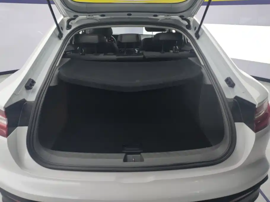 Baojun RC-6 2019 2019 1.5T CVT 24-hour Online Luxury