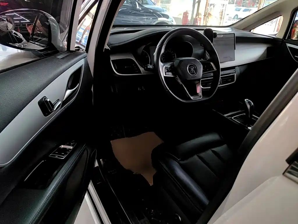 صورة 16 - BYD Song MAX
