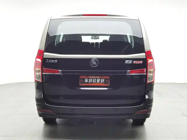 Dongfeng Fengxing Lingzhi PLUS 2027 2.0L Base Model 7-Seater — фото 4