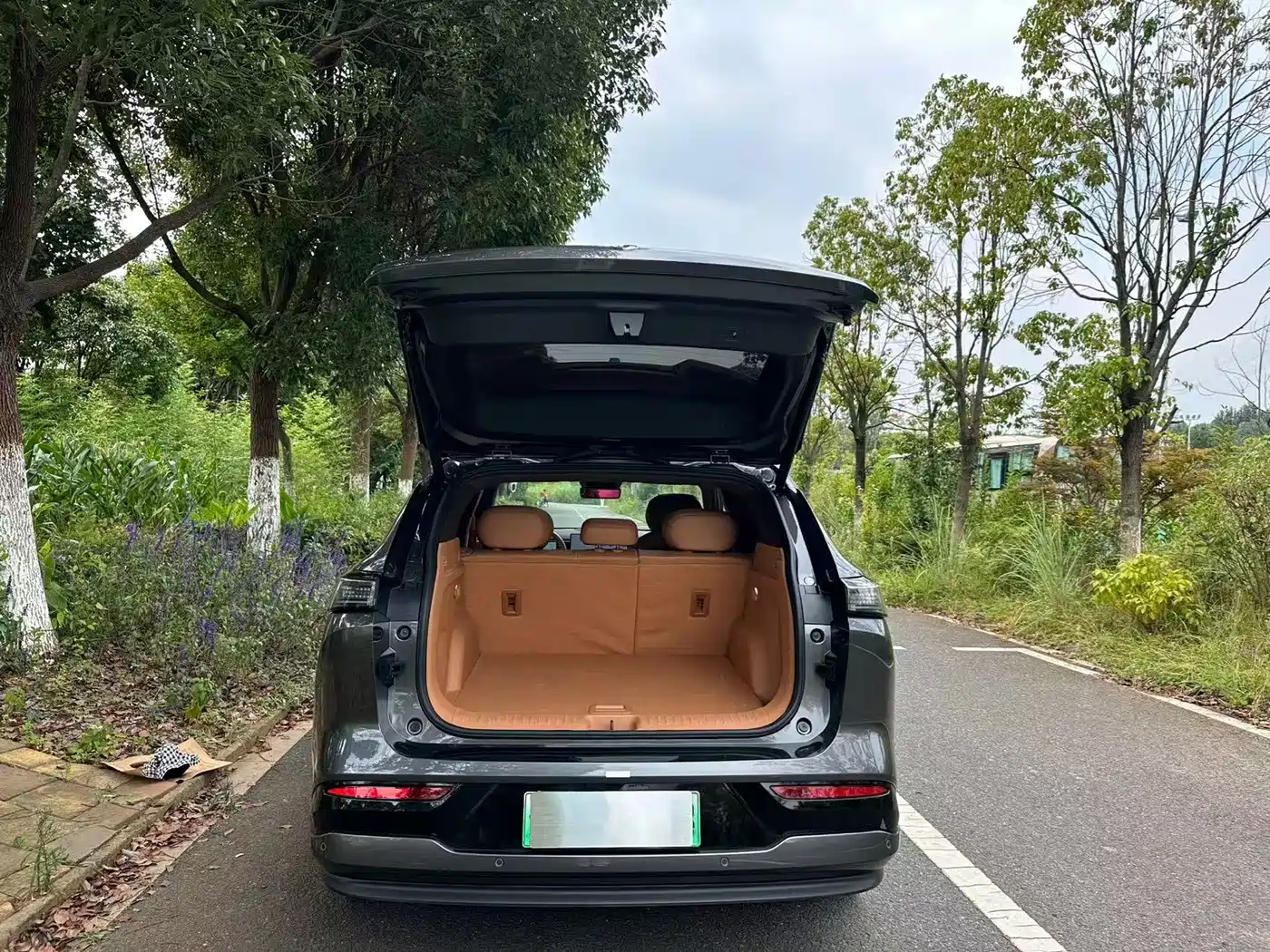 Dongfeng Aeolus L8 2025 2025 Plug-in Hybrid