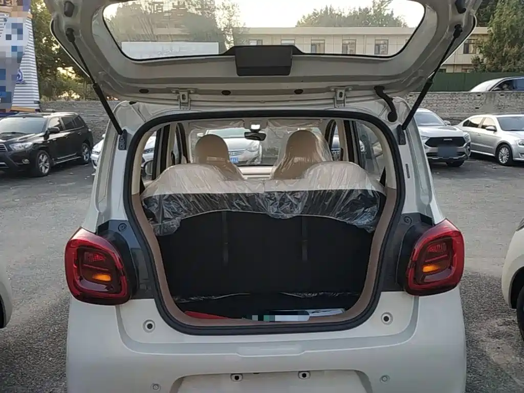 صورة 19 - Wuling Motors Hongguang MINIEV