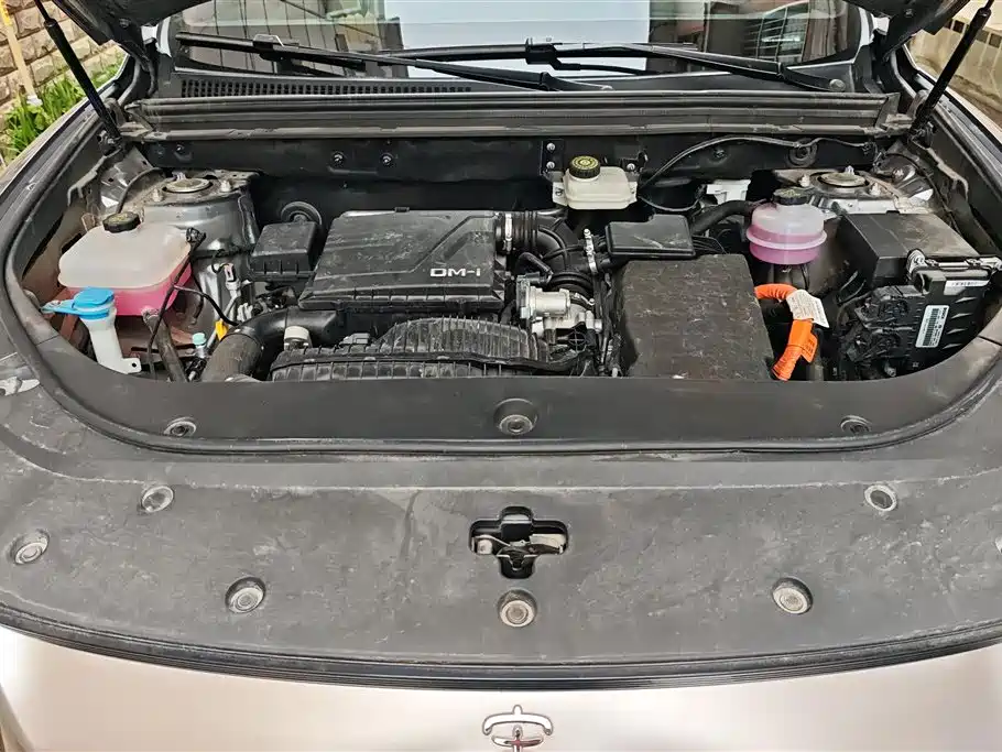 BYD SONGJIANG NEW ENERGY