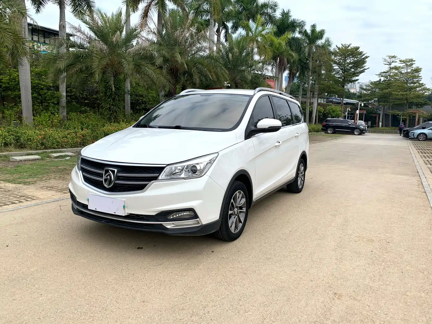 Baojun 730 2019 2019 1.5T CVT Fashion 7-Seater China V