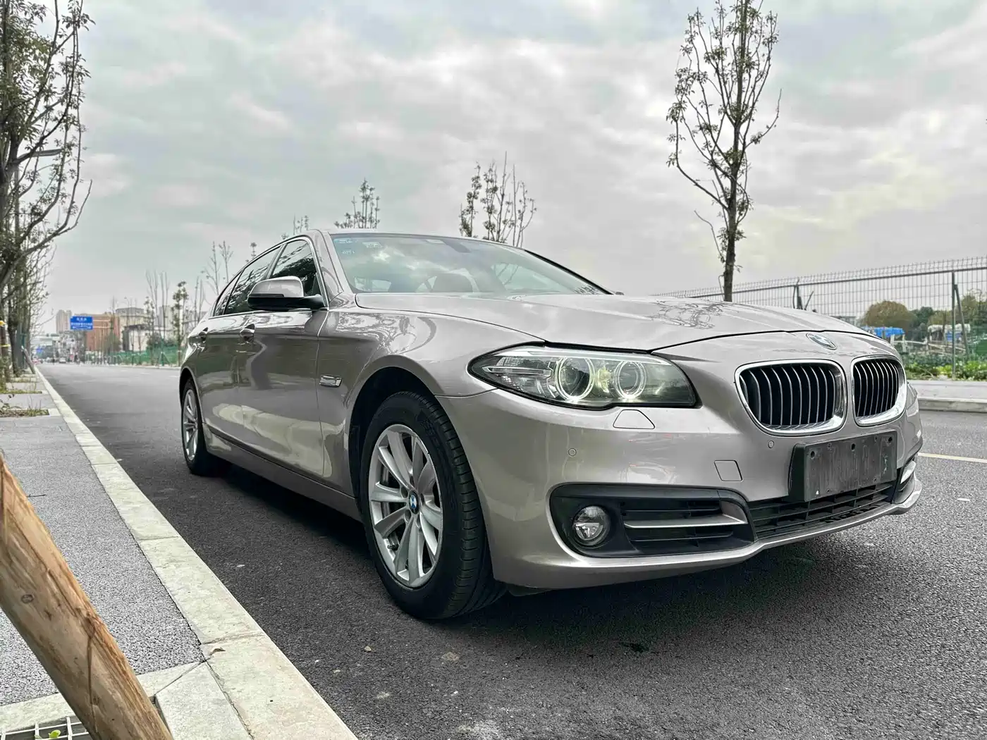 BMW 5 Series 2013 520Li Elegance фото 3