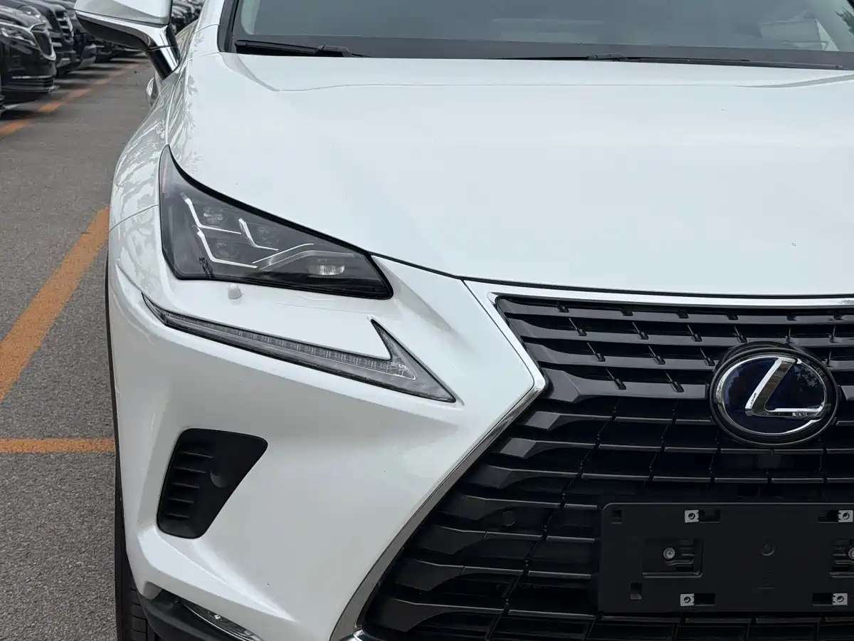 Lexus NX 2018 Model 300h AWD Fengzhi Edition China V фото 3