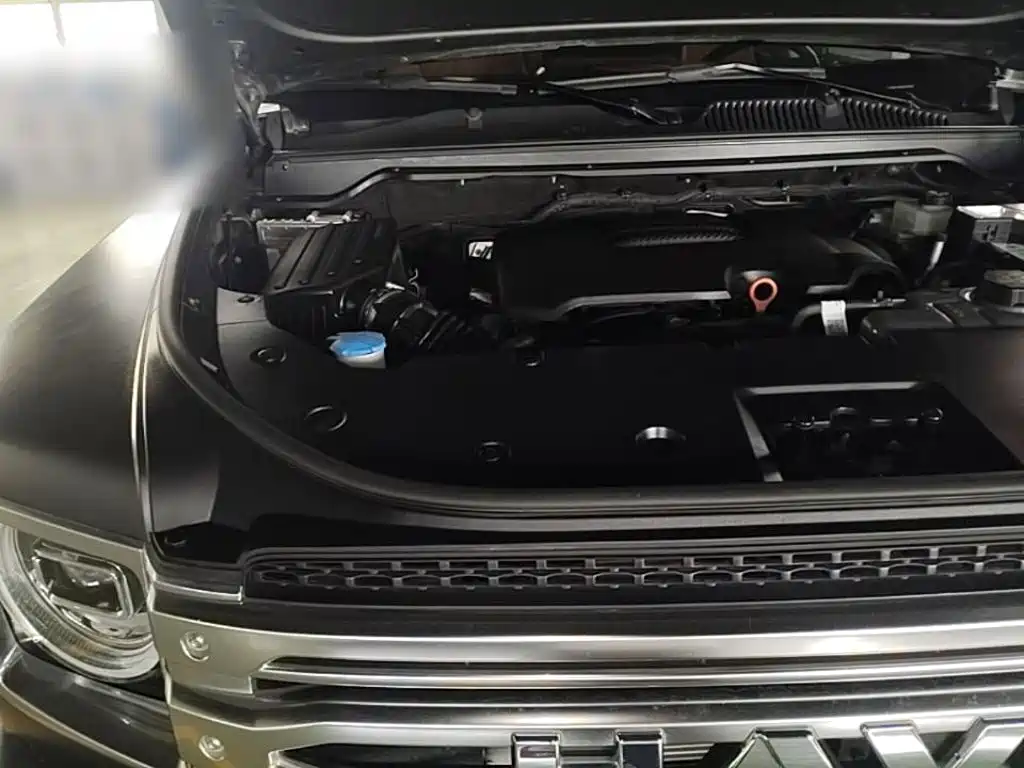 Haval H9 2024 2024 2.0T Gasoline AWD Extreme Edition