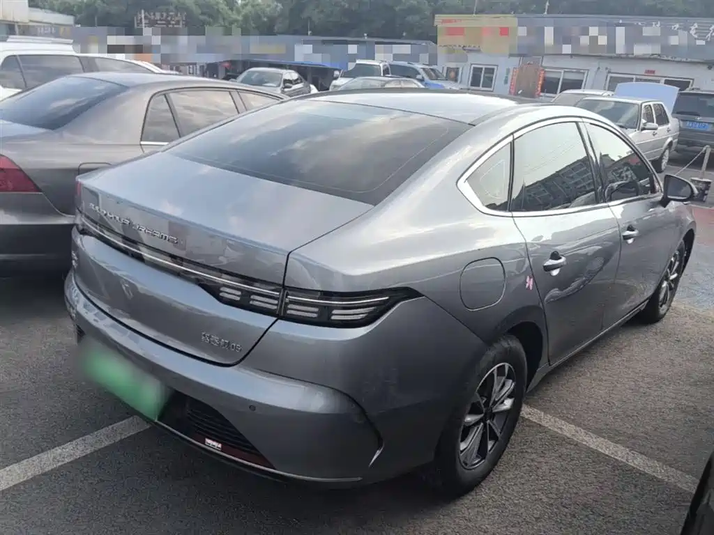 BYD Destroyer 05 2023 Champion Edition DM-i 55KM Luxury фото 7