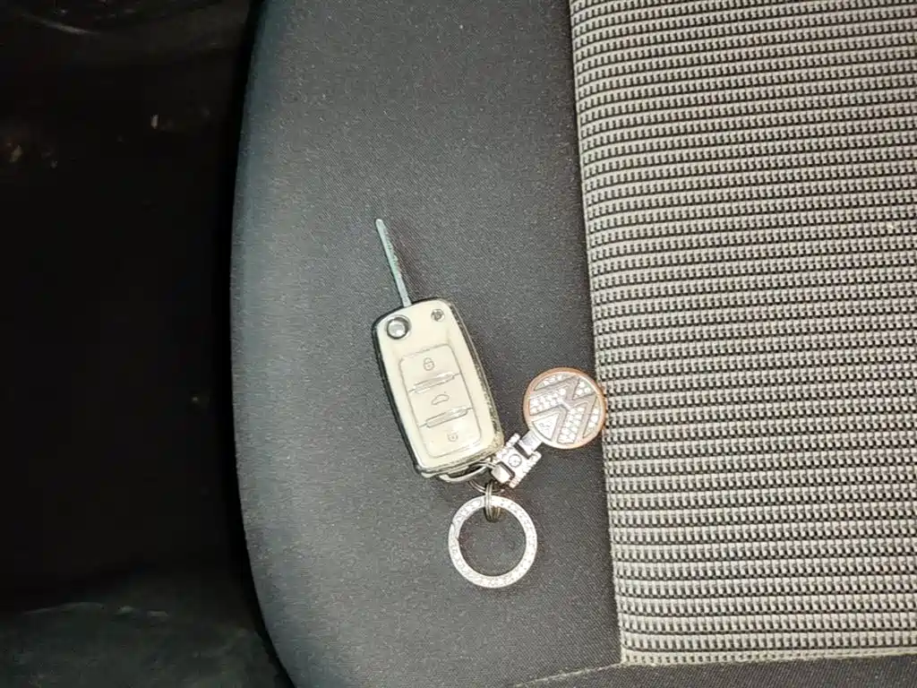 Volkswagen Polo 2018 1.5L Auto Safe Drive фото 9
