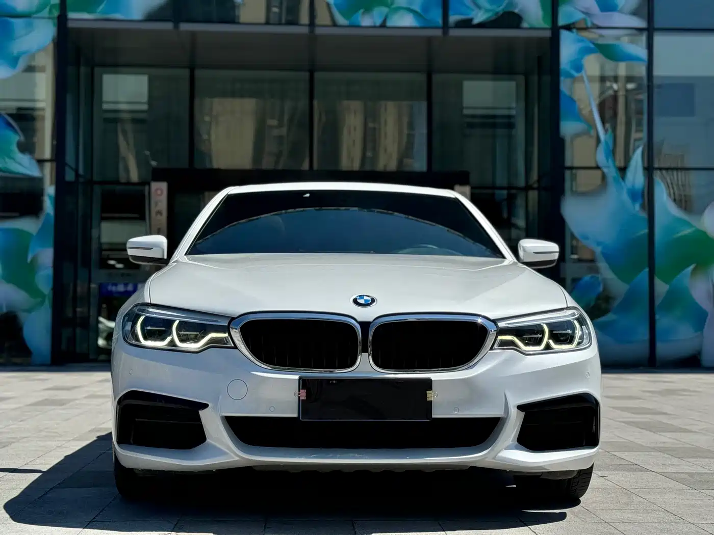 BMW 5 Series, миниатюра 2