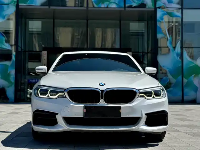 BMW 5 Series 2020 530Li Leading M Sport Package — фото 2