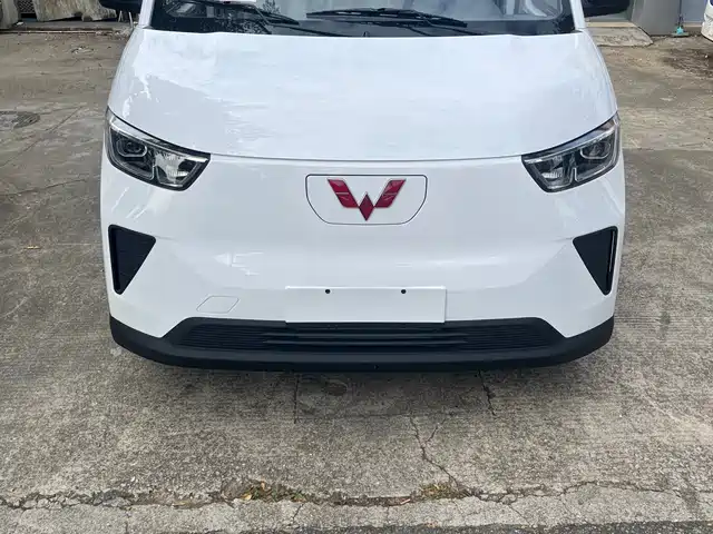  Wuling Motors Wuling Yangguang 2024 300km Comfort Enclosed Van 60kW