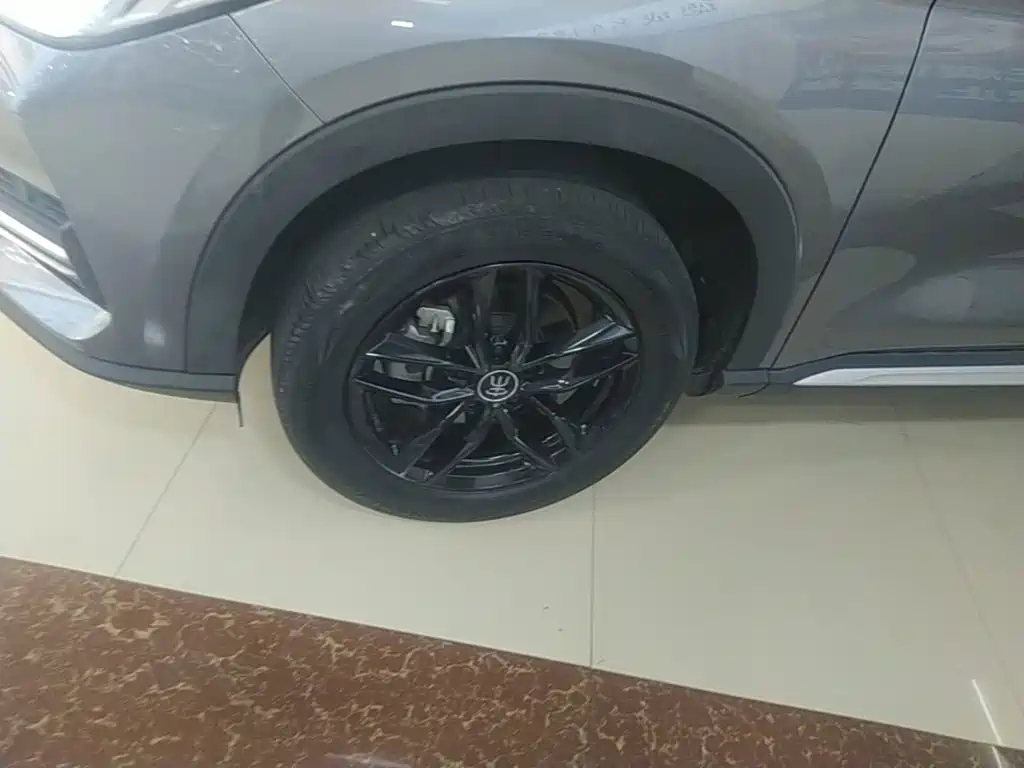 BYD Song PLUS 2021 2020 1.5T Automatic Luxury