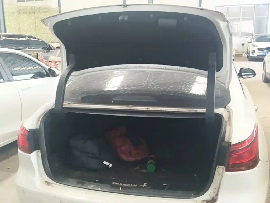 Changan Ruicheng CC 2021 2021 Blue Whale Edition 1.5T DCT Luxury