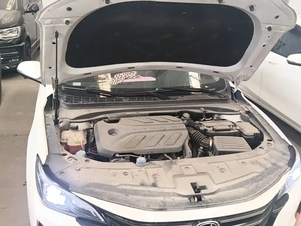 Changan Ruicheng CC 2021 2021 Blue Whale Edition 1.5T DCT Luxury