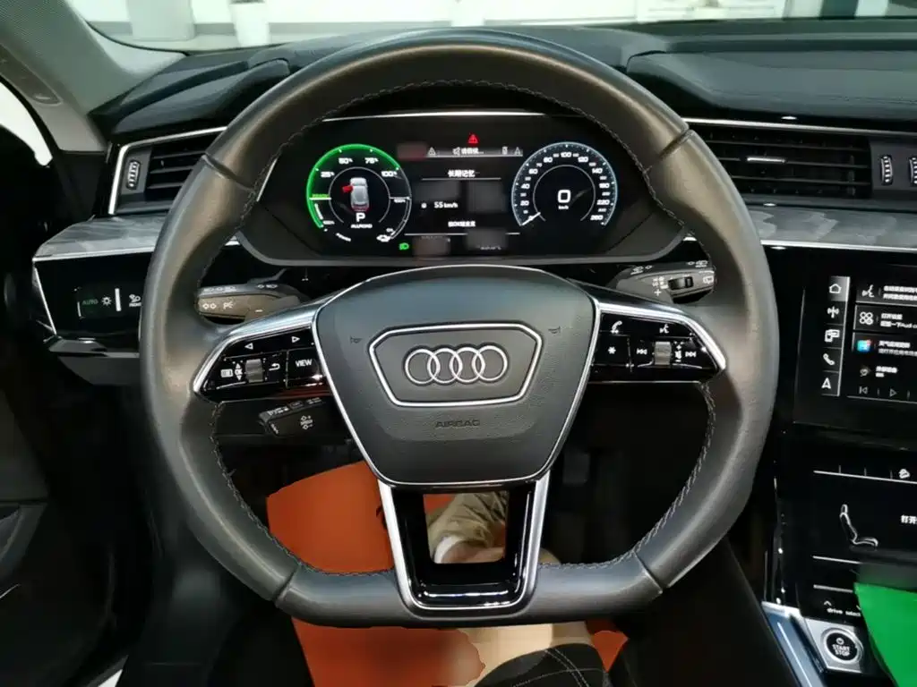 Audi e-tron 2022 2021 50 quattro Exclusive Selection