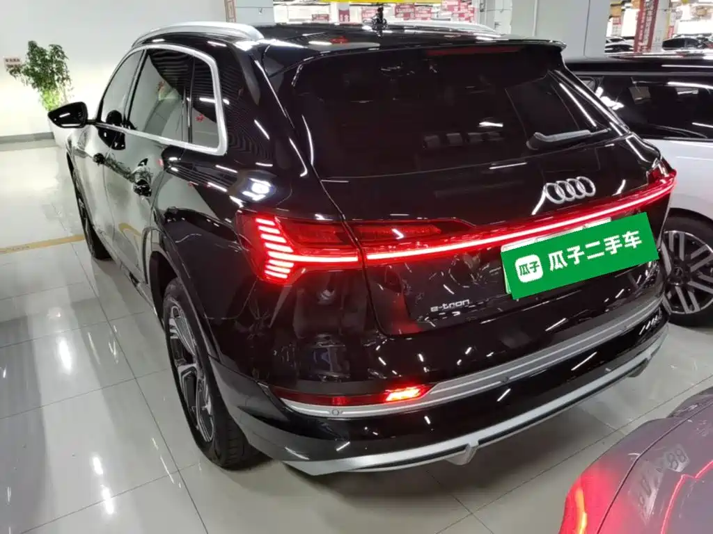 Audi e-tron 2022 2021 50 quattro Exclusive Selection