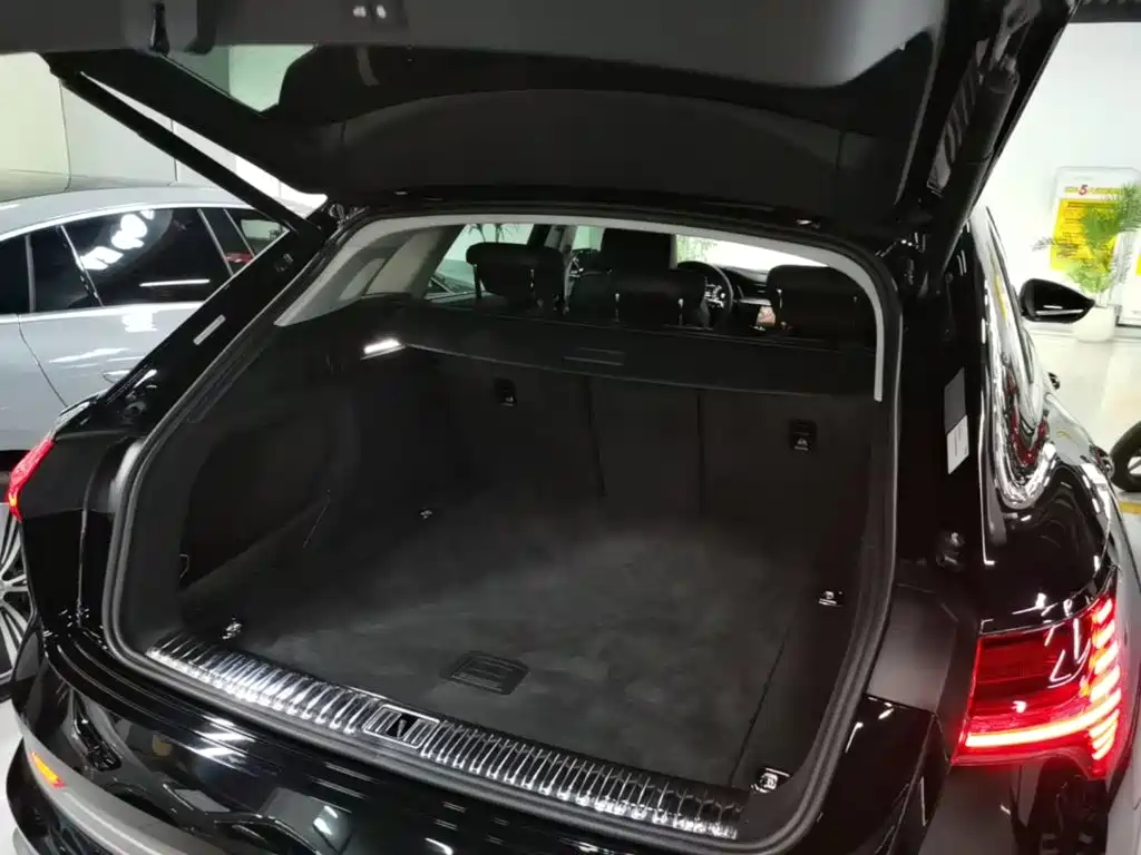 Audi e-tron 2022 2021 50 quattro Exclusive Selection