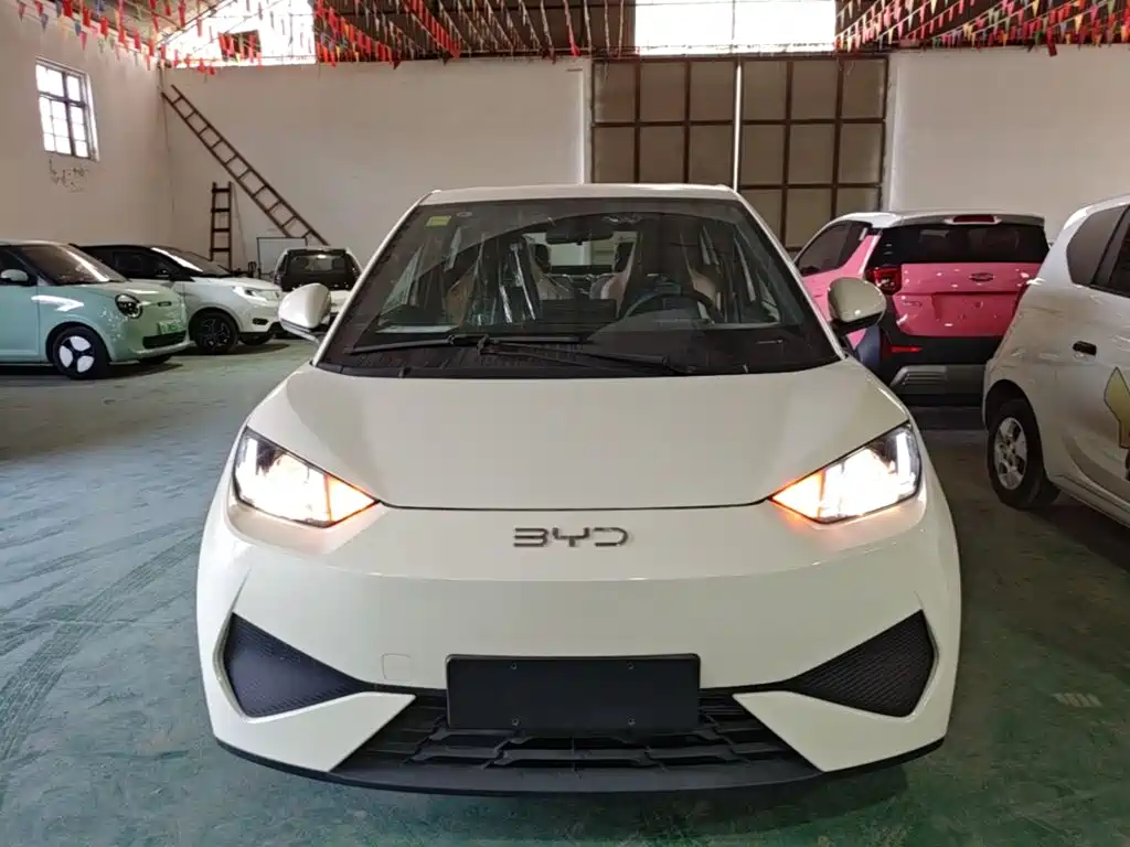 2026 BYD Seagull