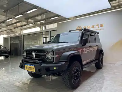 Tank 300