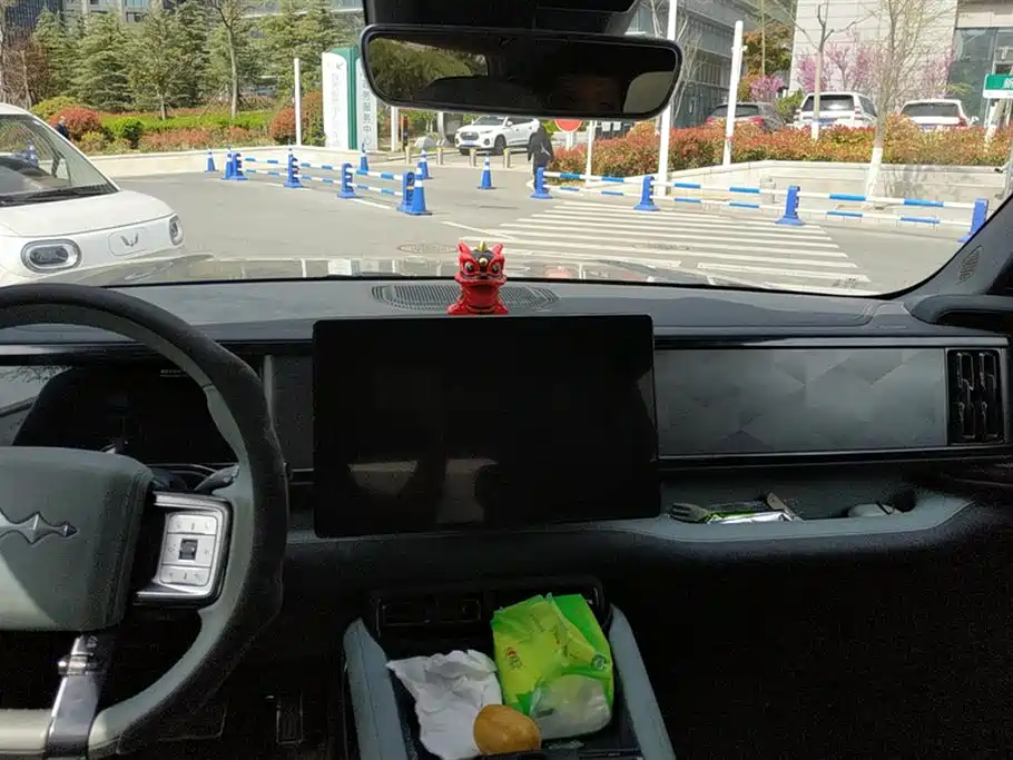 FANG CHENG BAO LEOPARD 5