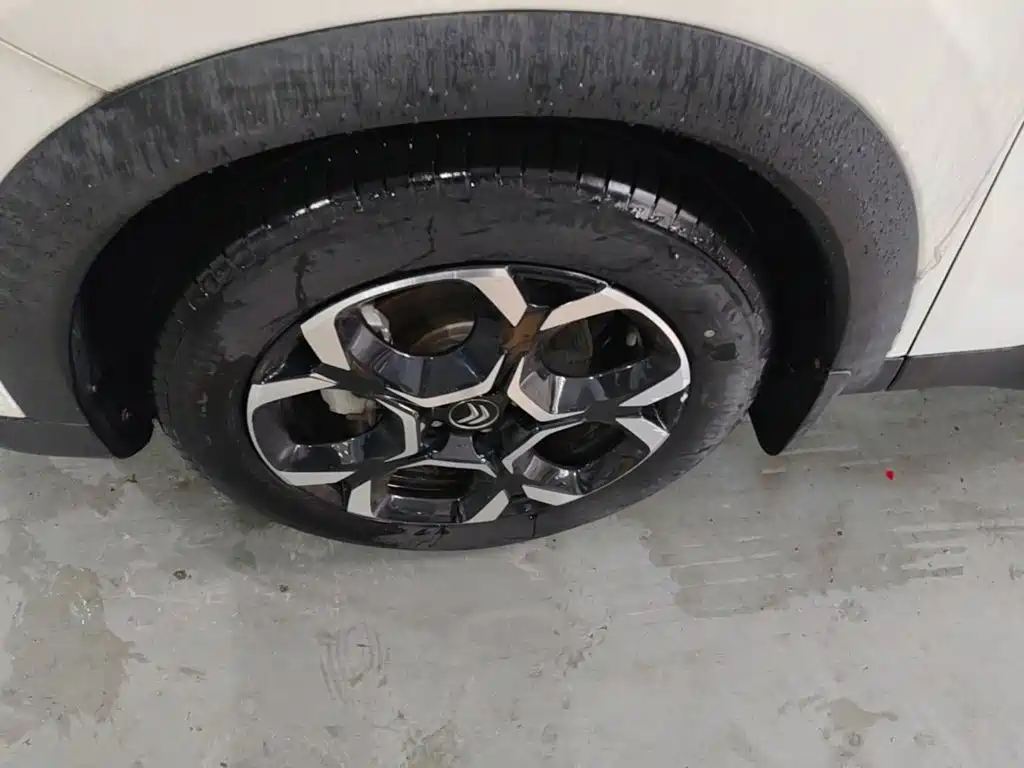 Фото 23 - Citroën Tianyi C5 AIRCROSS