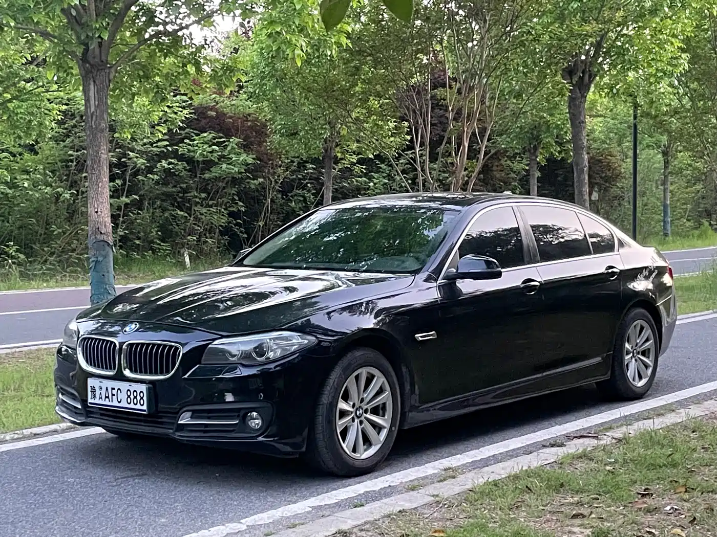 BMW 5 Series 2014 520Li Elegance