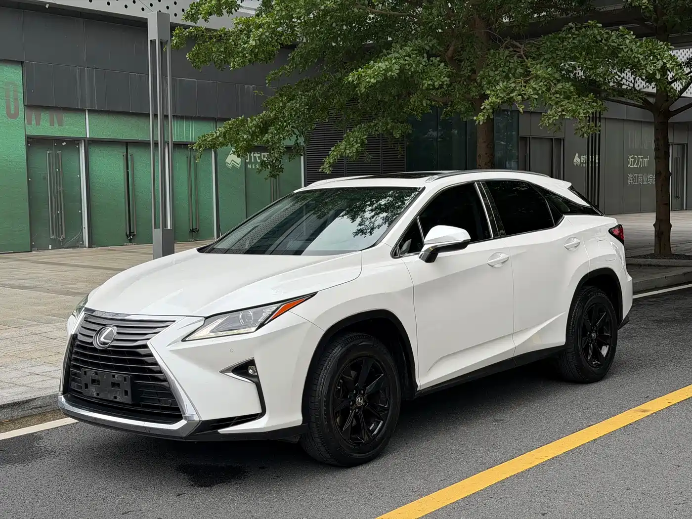 Lexus RX 2016 300 2WD Elite Edition (China V)