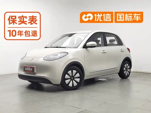 Wuling Motors Wuling Bingo 2023 203km Comfort Version — фото 1