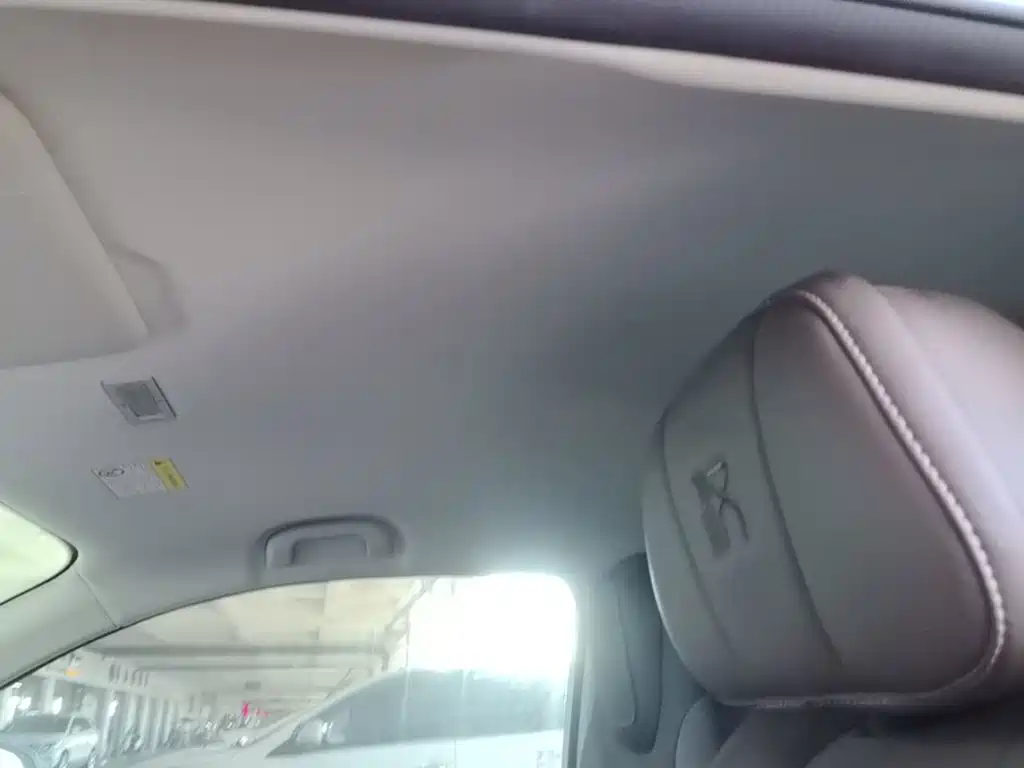 Roewe Kaiwei CLEVER 2024 2022 311km Vitality Bobo Edition