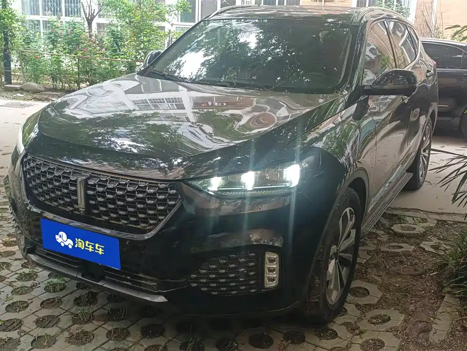 WEI PAI WEI BRAND VV6