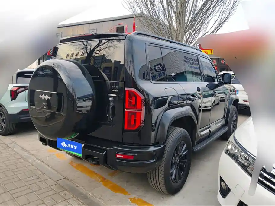 FANG CHENG BAO LEOPARD 5