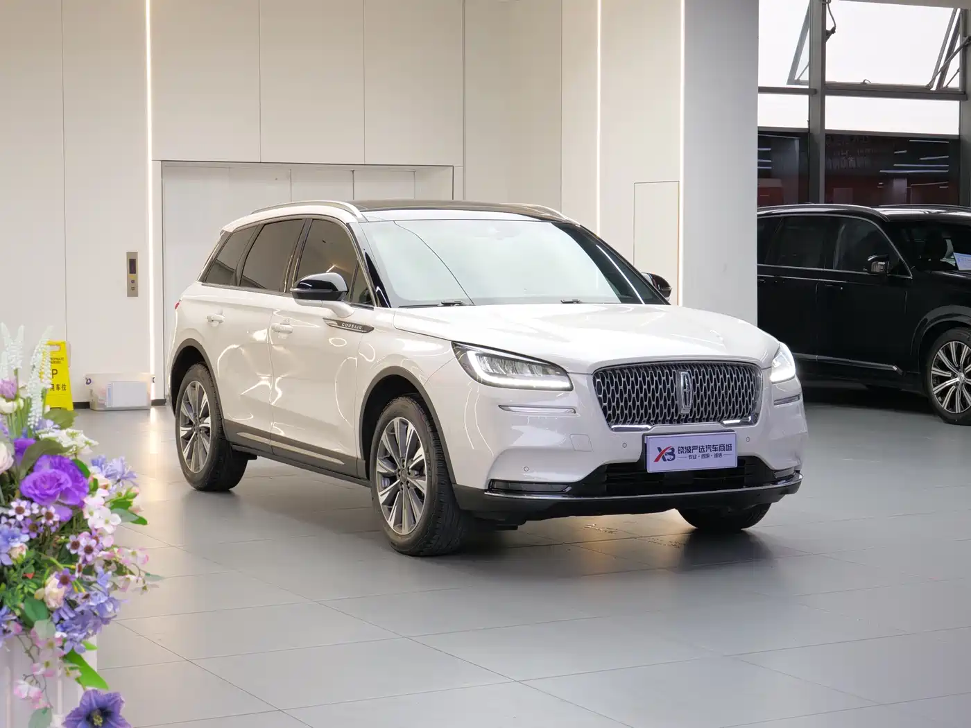 LINCOLN ADVENTURER