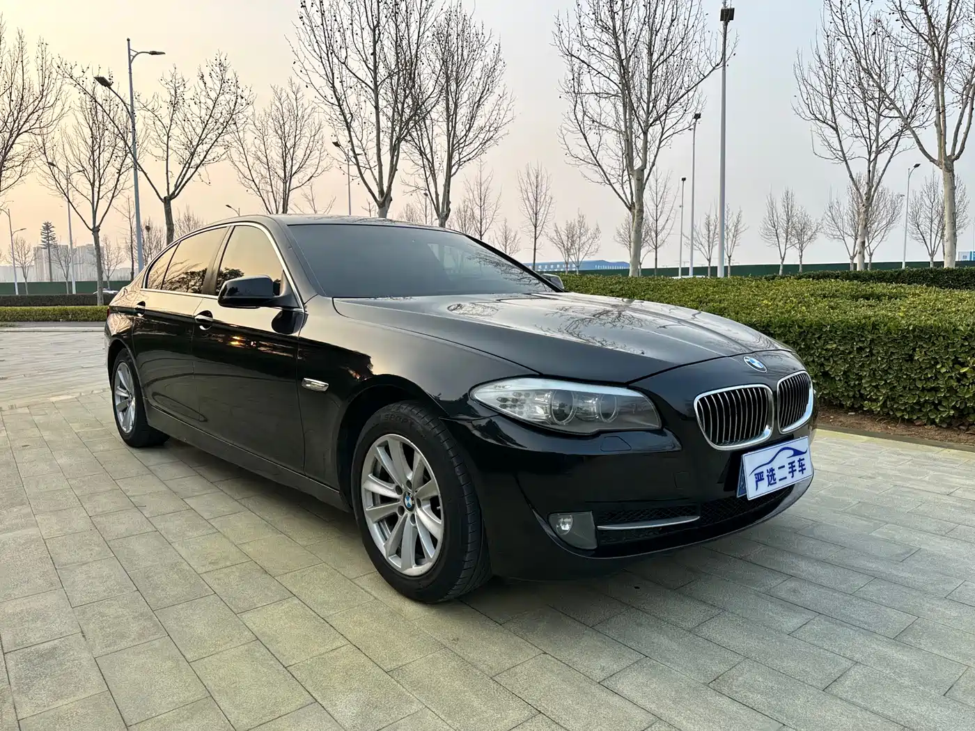 BMW 5 Series 2012 523Li Leadership фото 3