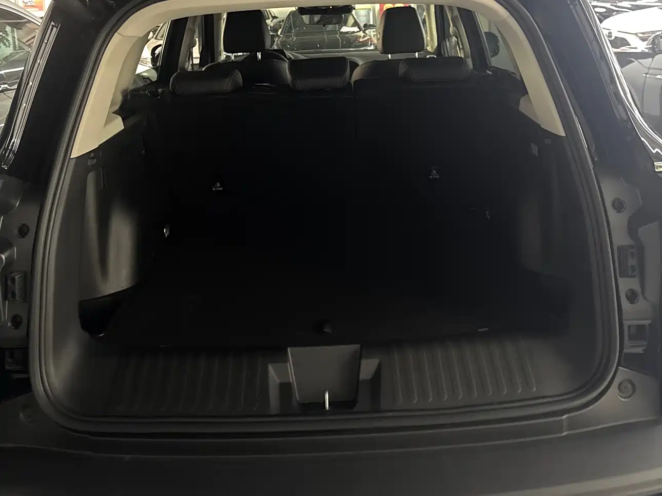 Haval Big Dog 2024 1.5T DCT Border Collie Edition фото 16