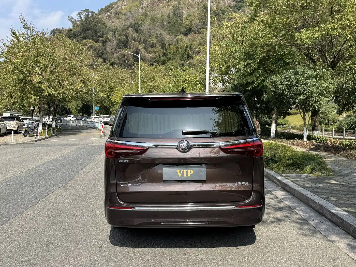 Buick GL8 2021 ES Landlord 653T Premium фото 9