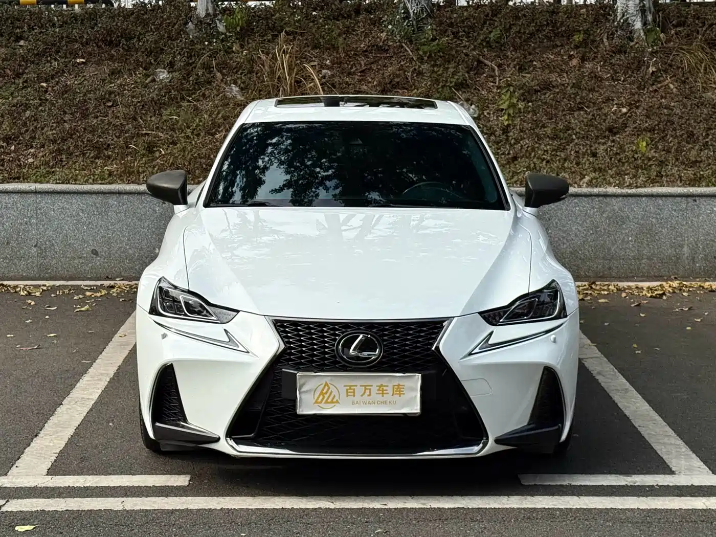 LEXUS IS